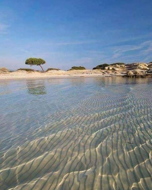 Villa Elea 보우르보우로우 외부 사진